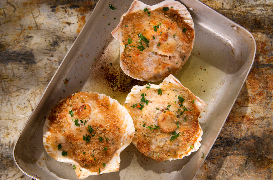 Schelp met coquilles